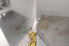 Shower screen restoration